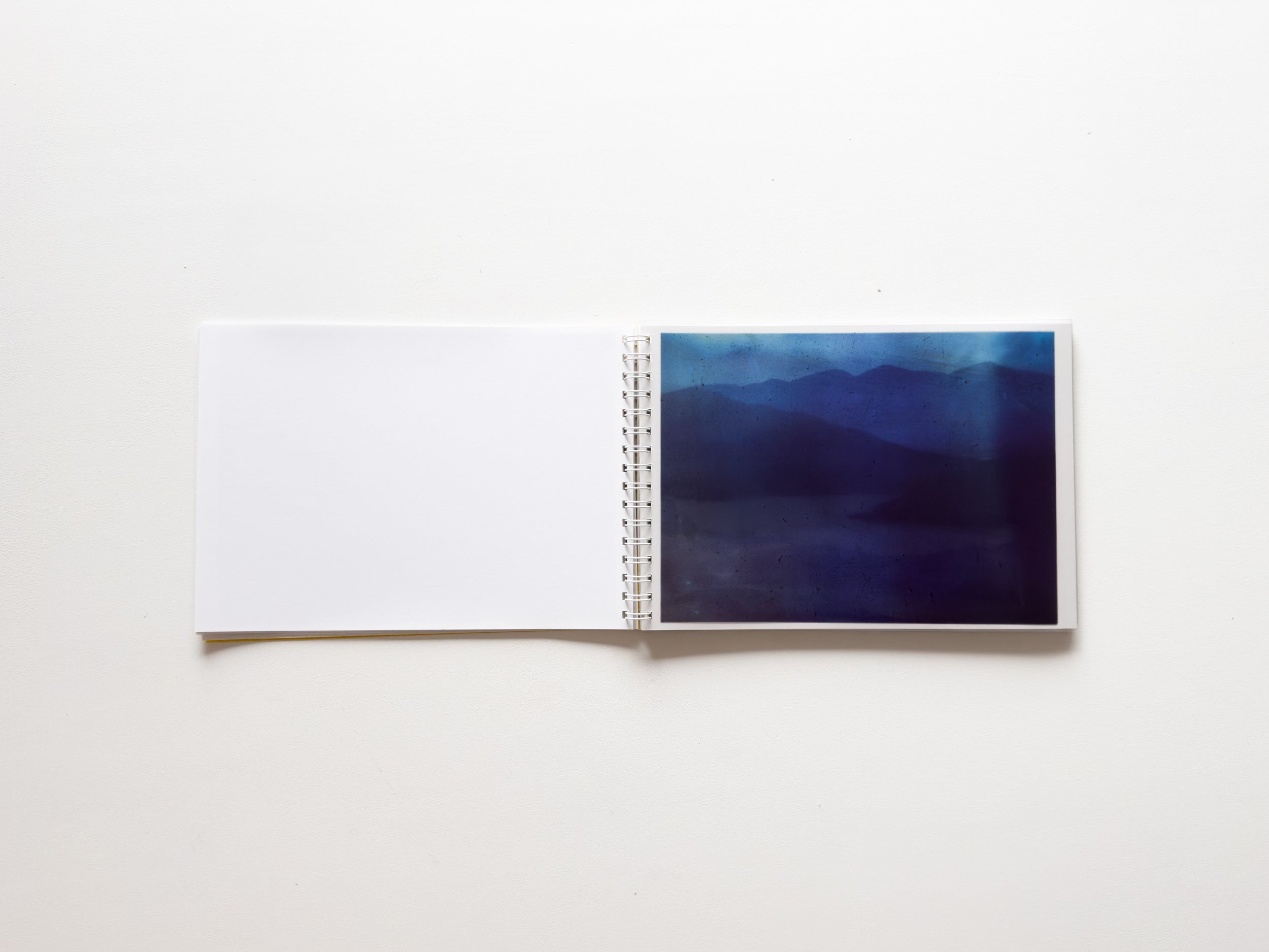 IMG_6927_4100x.jpg?v=1730534375