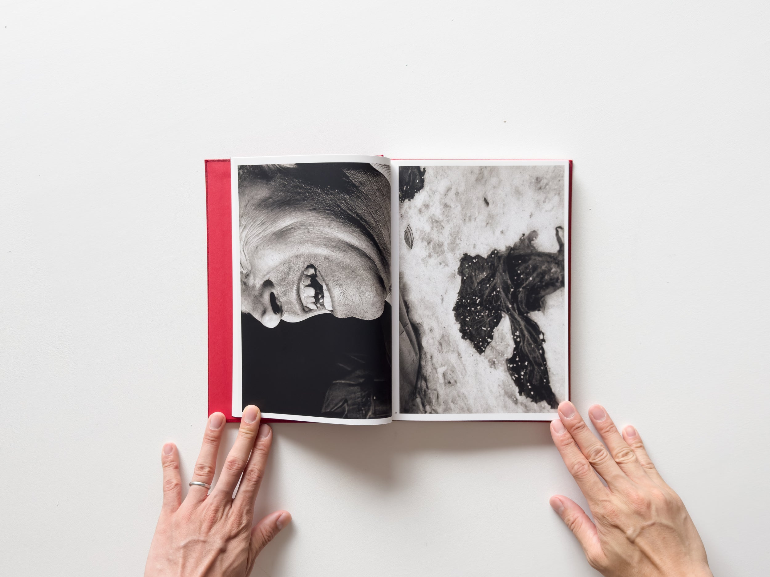 Dark Knees by Mark Cohen – IACK