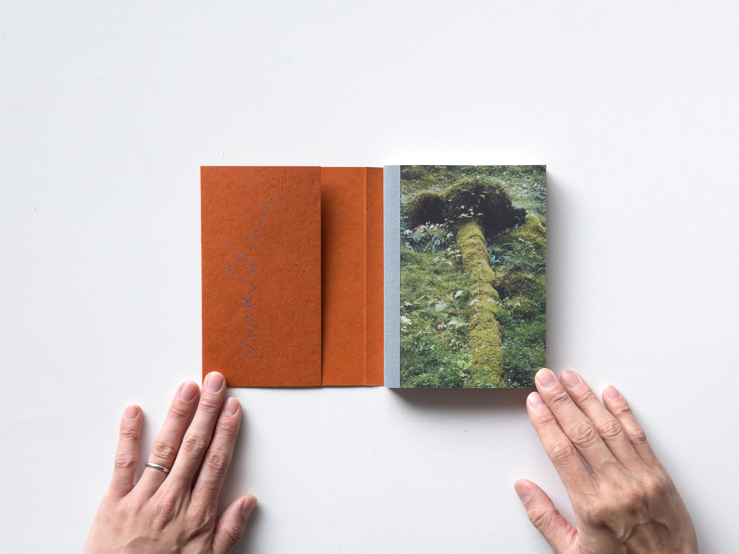 Signed) Krystallskogen - The Crystal Forest by Morten Andersen