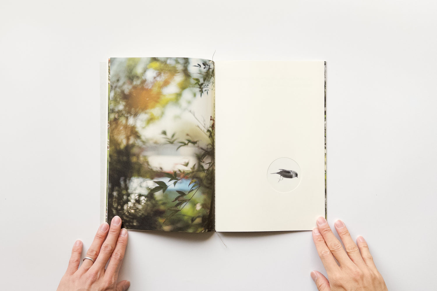 Mēdeia2.0: Terri Weifenbach – IACK