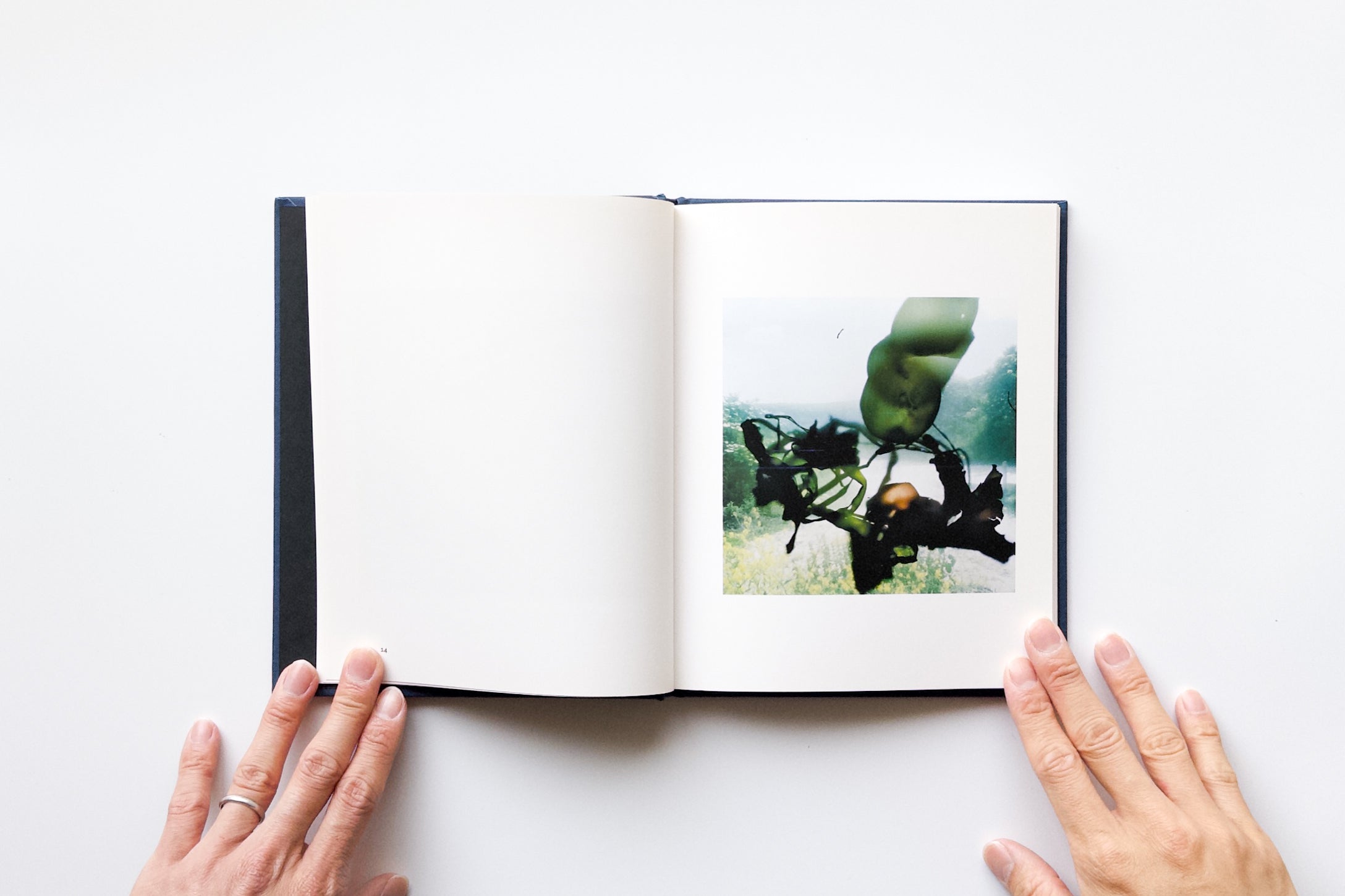 IMG_8778_4100x.jpg?v=1715267928