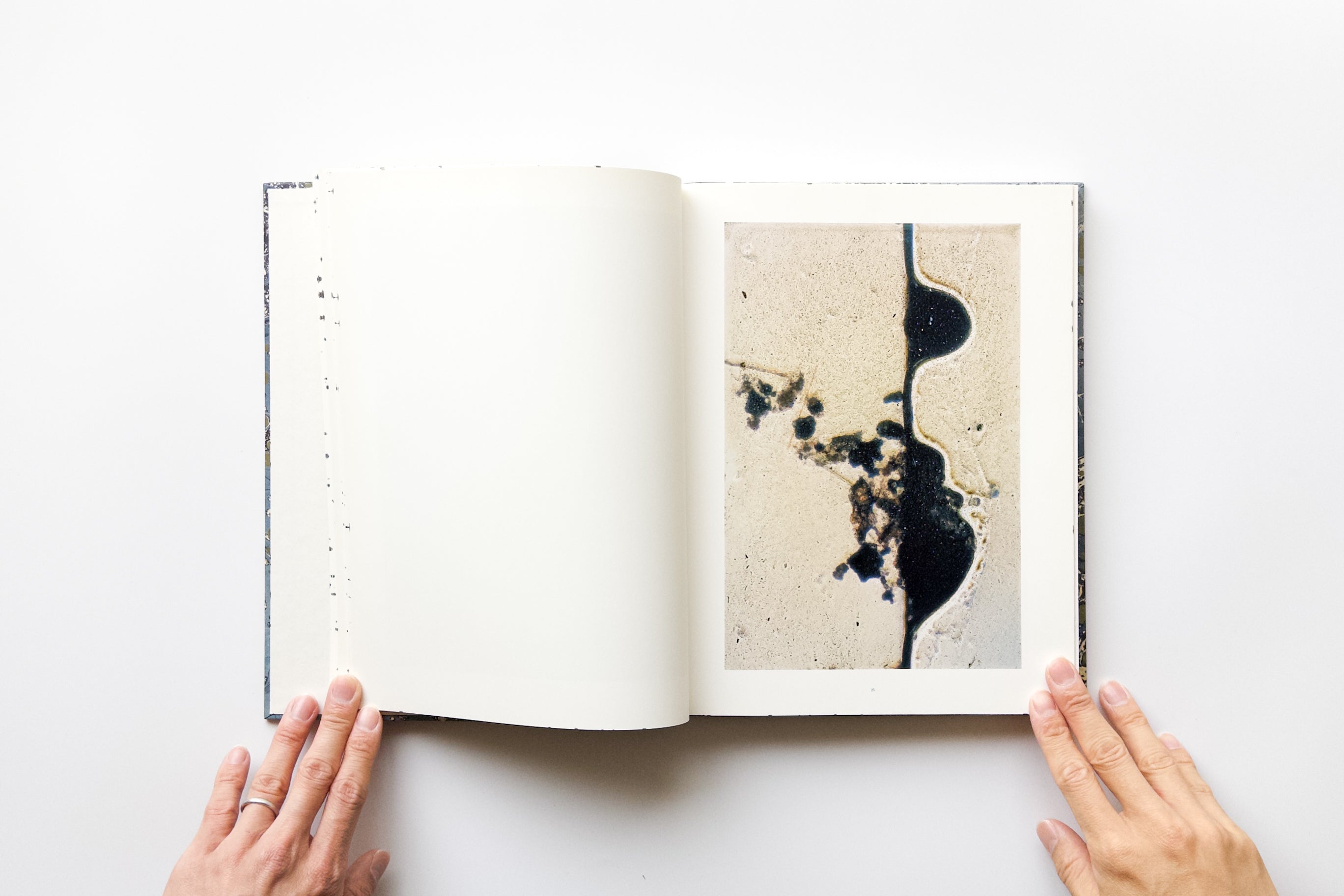 Signed) COEXISTENCE In by Stephen Gill – IACK