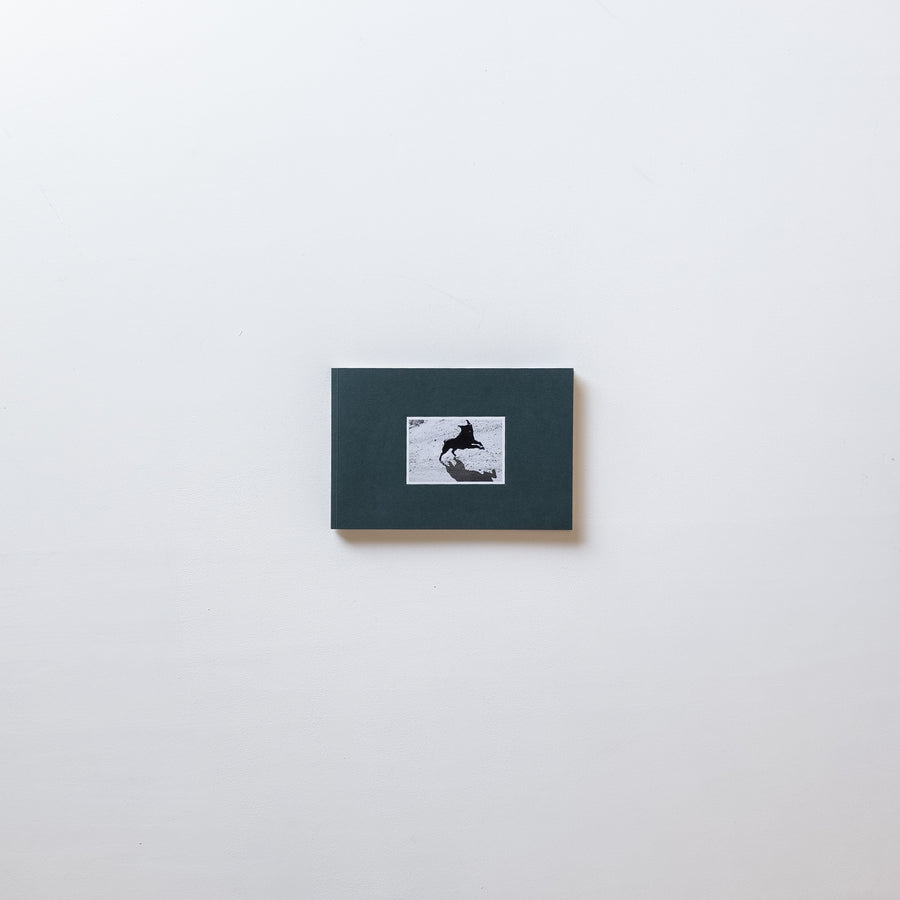 Pictures From Moving Cars by Joel Meyerowitz, Daido Moriyama and John Divola