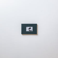 Pictures From Moving Cars by Joel Meyerowitz, Daido Moriyama and John Divola
