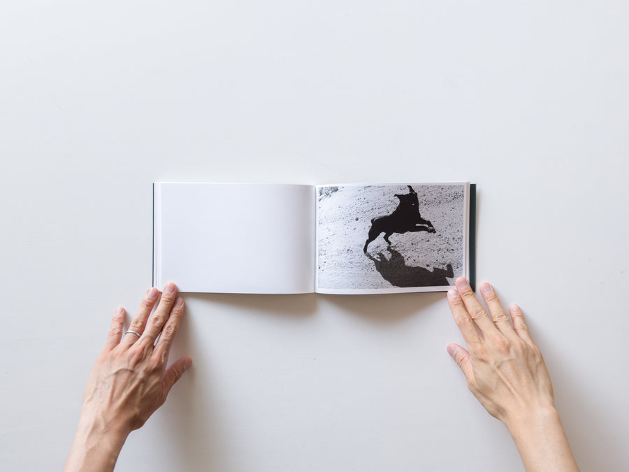 Pictures From Moving Cars by Joel Meyerowitz, Daido Moriyama and John Divola