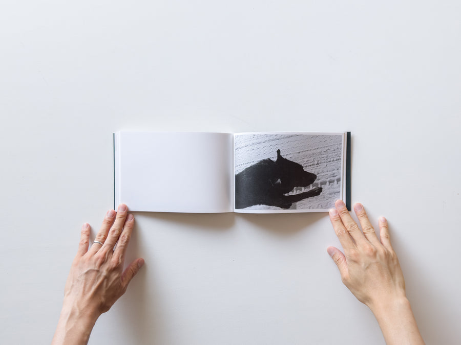 Pictures From Moving Cars by Joel Meyerowitz, Daido Moriyama and John Divola