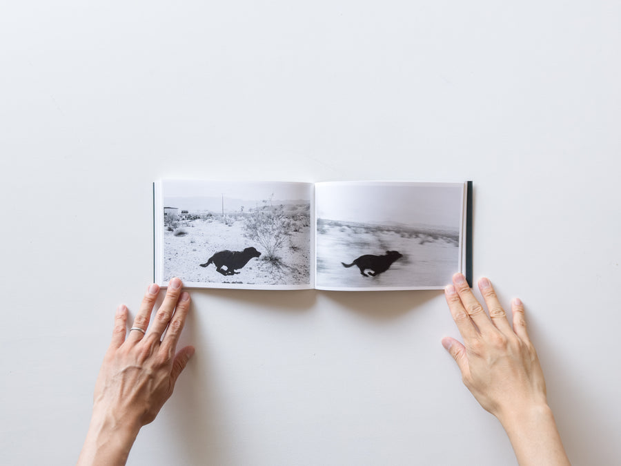 Pictures From Moving Cars by Joel Meyerowitz, Daido Moriyama and John Divola