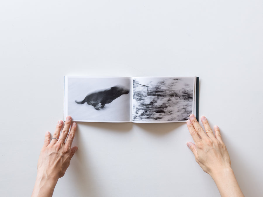 Pictures From Moving Cars by Joel Meyerowitz, Daido Moriyama and John Divola