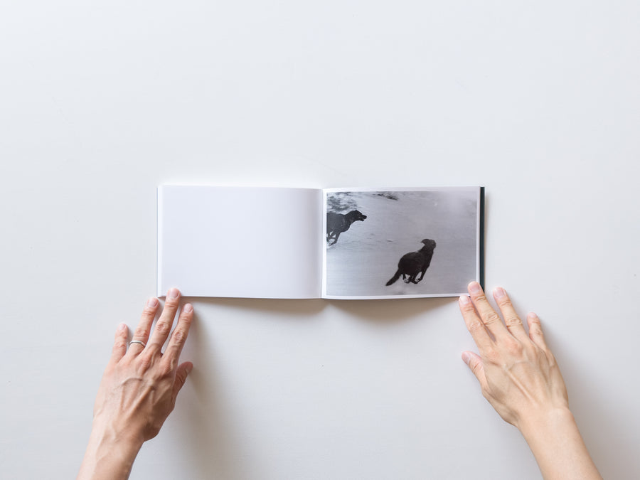 Pictures From Moving Cars by Joel Meyerowitz, Daido Moriyama and John Divola