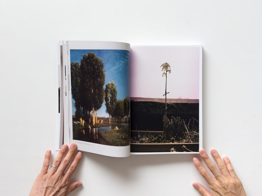 Wolfgang Tillmans: Things matter, Dinge zählen