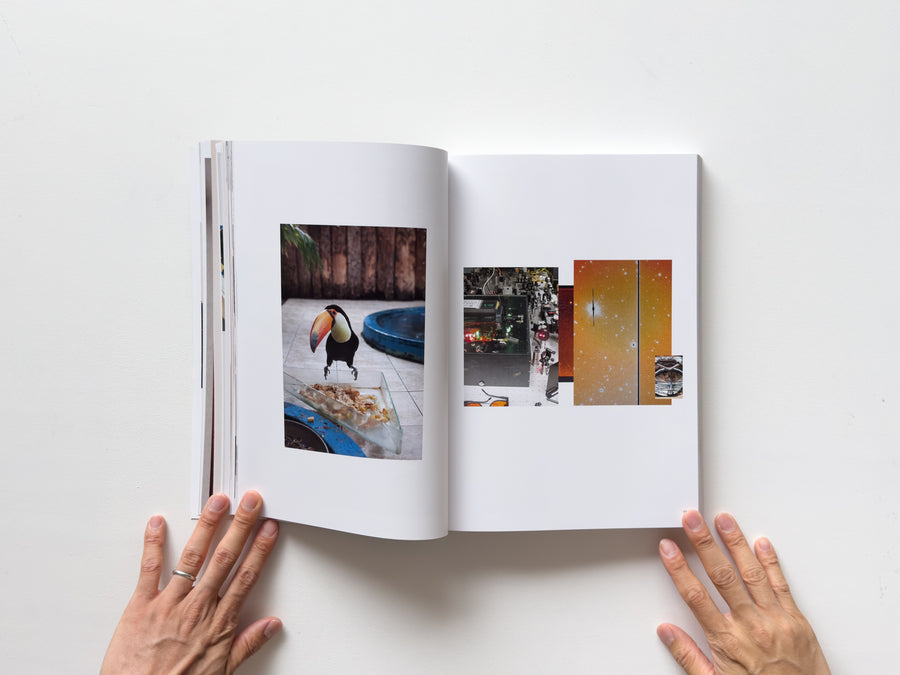 Wolfgang Tillmans: Things matter, Dinge zählen