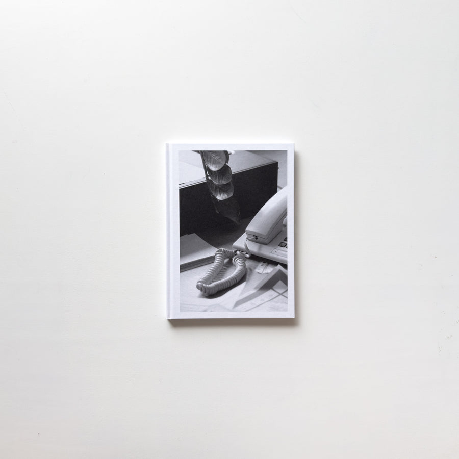 <tc>Büropflanze by Saskia Groneberg</tc>