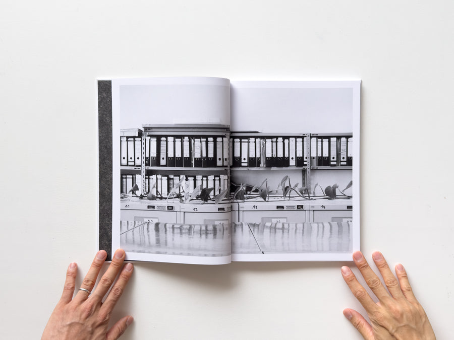 <tc>Büropflanze by Saskia Groneberg</tc>