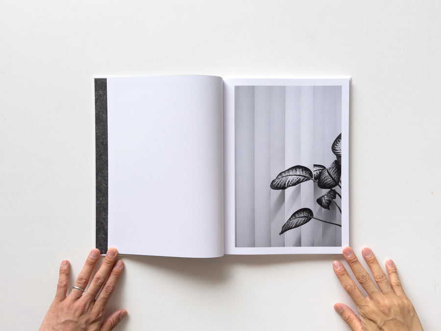 <tc>Büropflanze by Saskia Groneberg</tc>