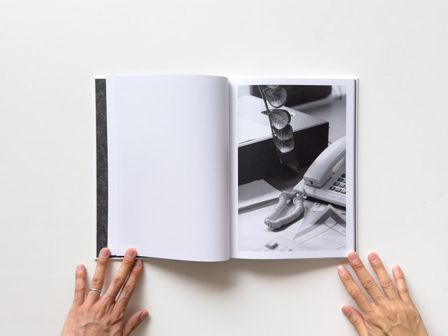 <tc>Büropflanze by Saskia Groneberg</tc>