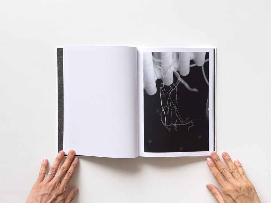 <tc>Büropflanze by Saskia Groneberg</tc>