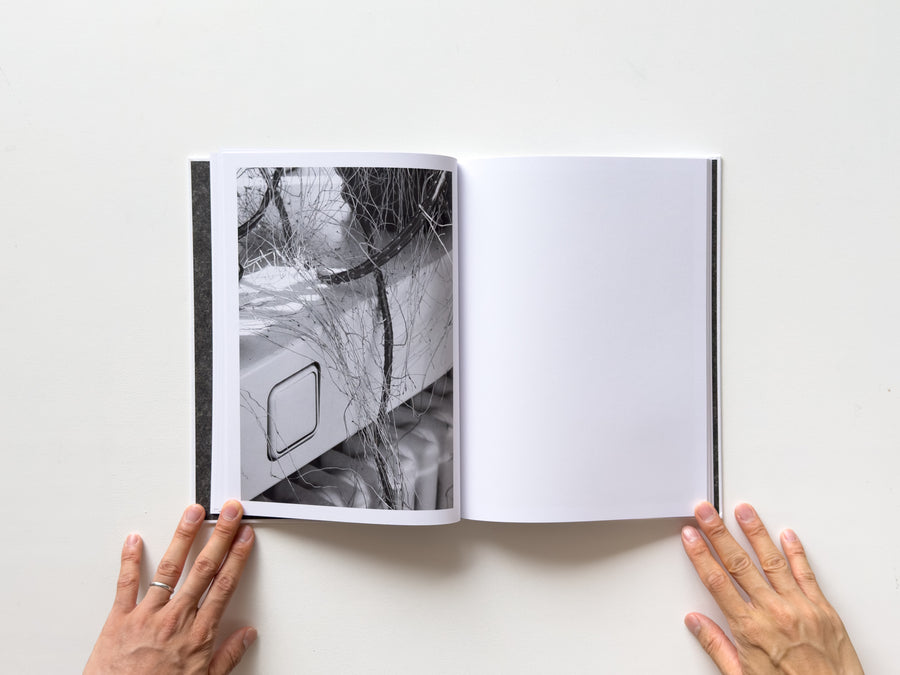 <tc>Büropflanze by Saskia Groneberg</tc>