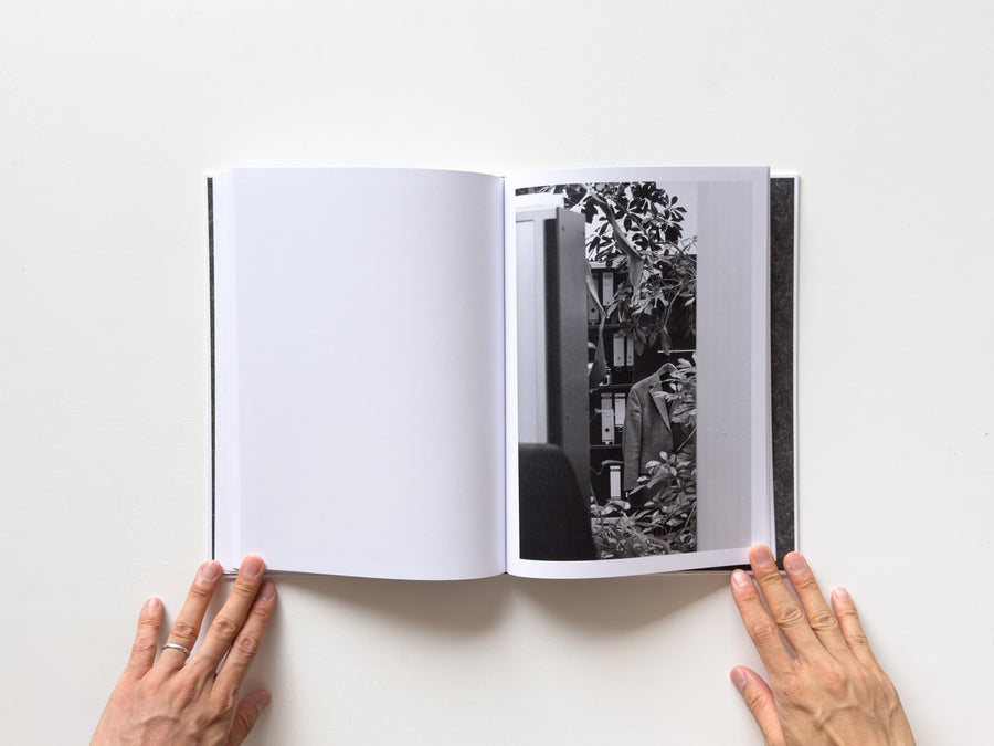 <tc>Büropflanze by Saskia Groneberg</tc>