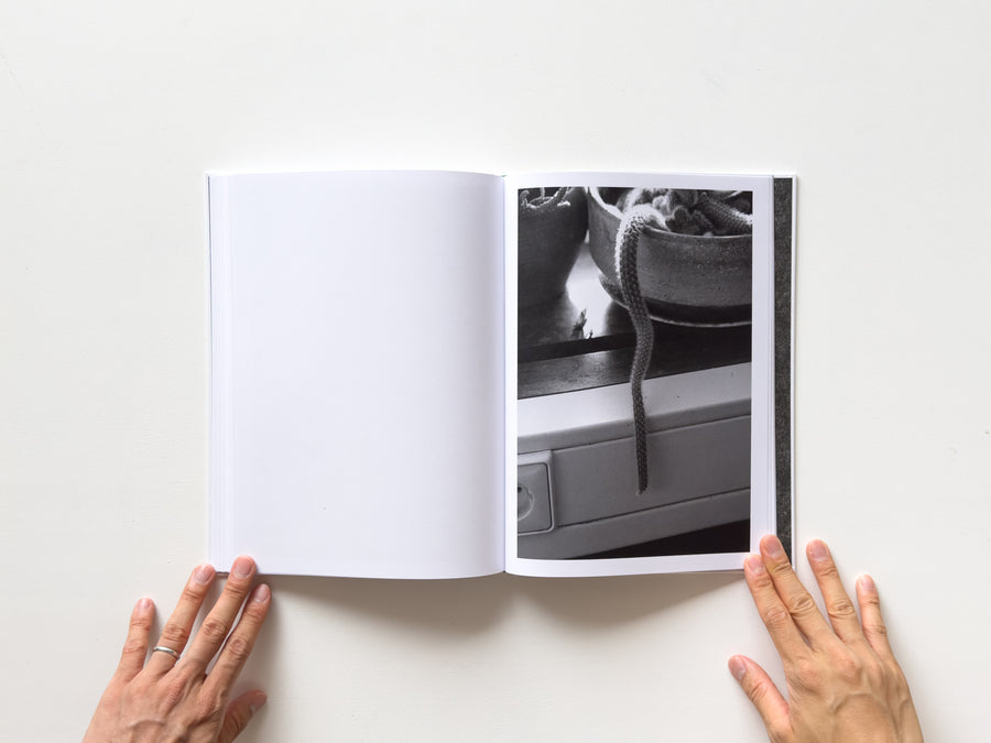 <tc>Büropflanze by Saskia Groneberg</tc>