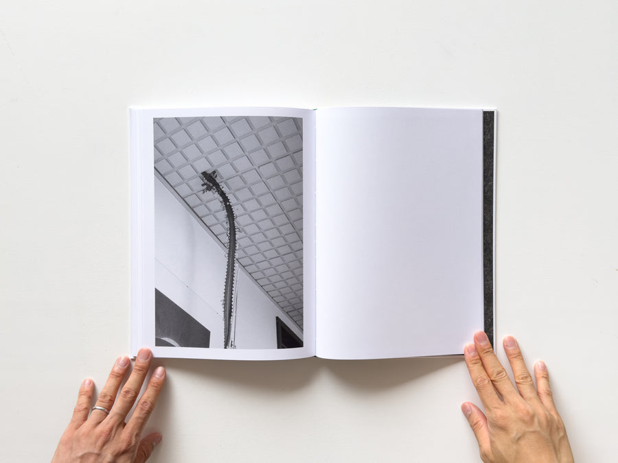 <tc>Büropflanze by Saskia Groneberg</tc>