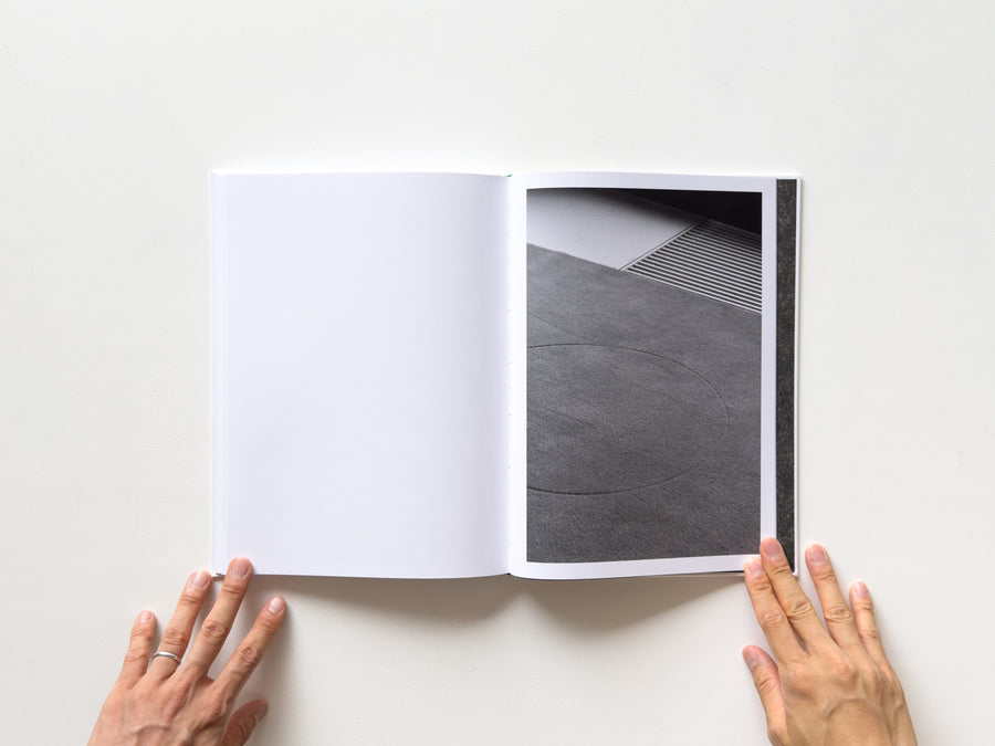 <tc>Büropflanze by Saskia Groneberg</tc>