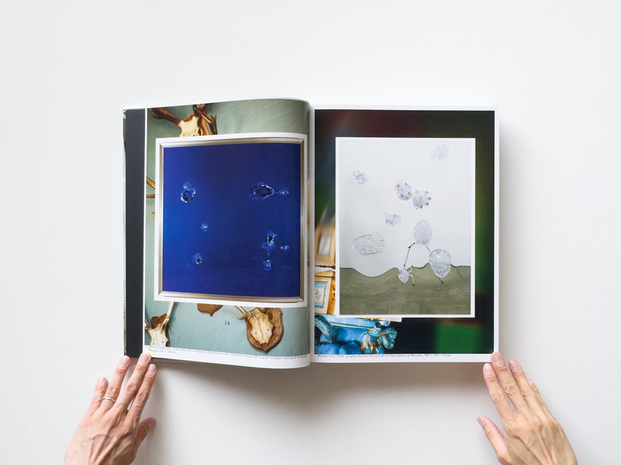 Dale Frank, Artist. Artworks 2006–2023