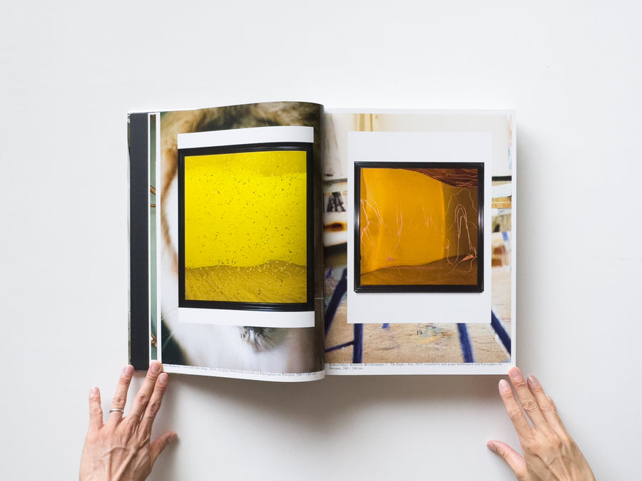 Dale Frank, Artist. Artworks 2006–2023