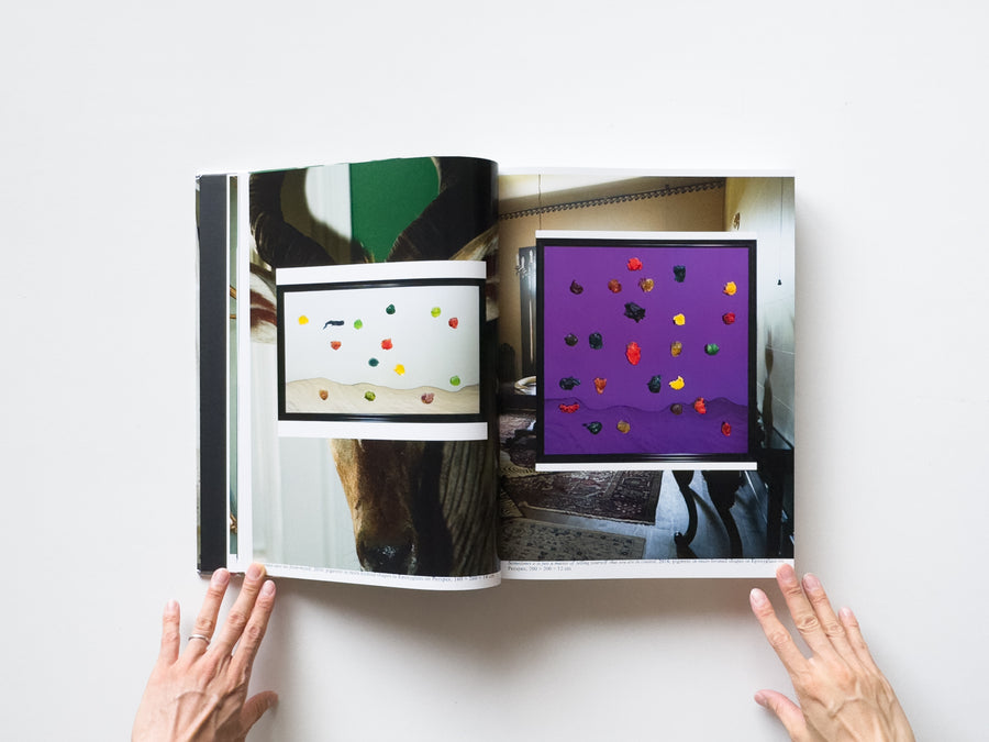 Dale Frank, Artist. Artworks 2006–2023