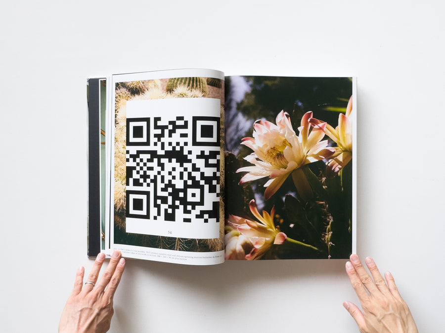 Dale Frank, Artist. Artworks 2006–2023