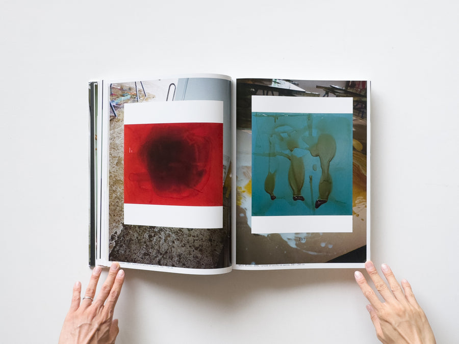 Dale Frank, Artist. Artworks 2006–2023