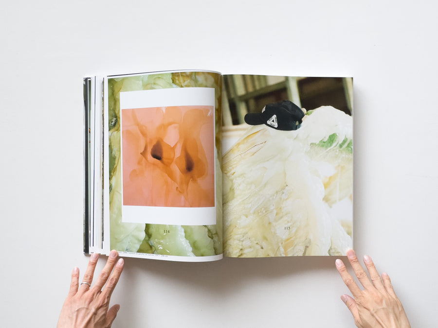 Dale Frank, Artist. Artworks 2006–2023