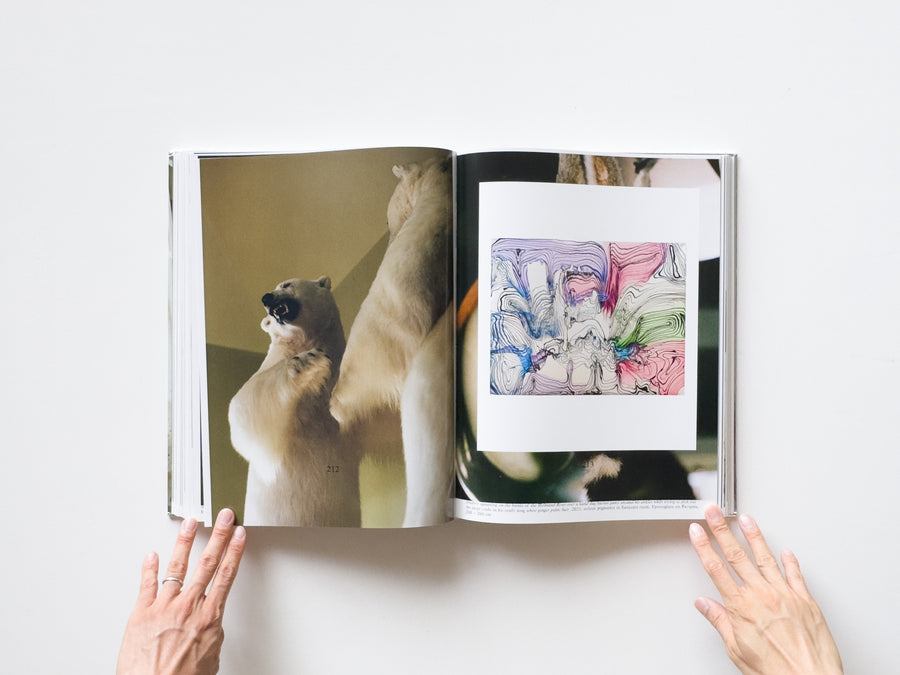 Dale Frank, Artist. Artworks 2006–2023