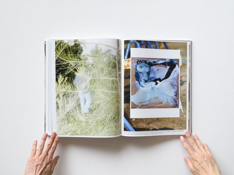 Dale Frank, Artist. Artworks 2006–2023