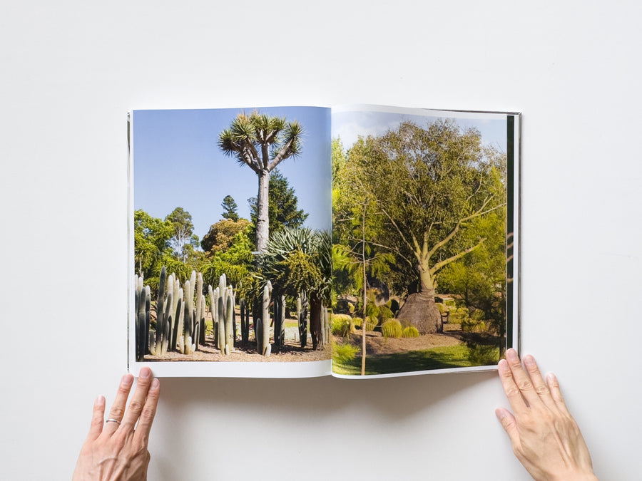 Dale Frank, Artist. Artworks 2006–2023