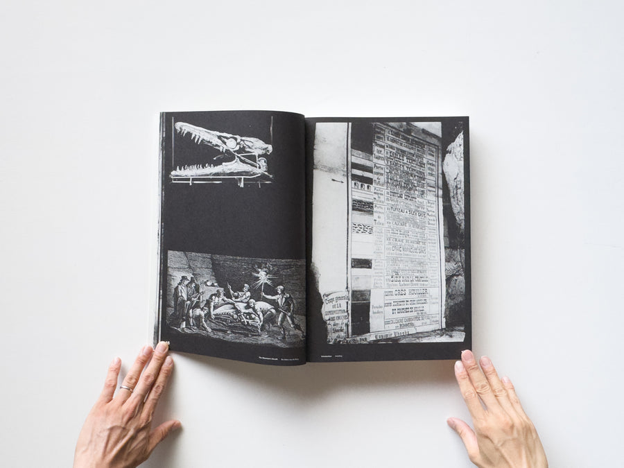 <tc>The Mountain’s Breath (De Adem van de Berg) by Sven Gerhardt</tc>