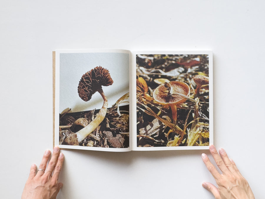 Fruiting Bodies by Ying Ang