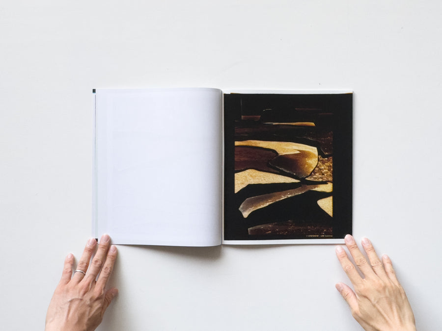 (Signed) Constructed Landscapes: Addendum by Dafna Talmor