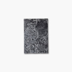 植物、暗室のための習作 by Daisuke Yokota (Signed)