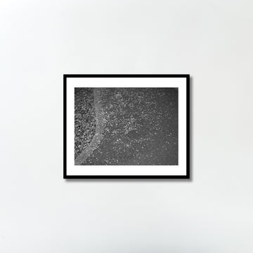Untitled (flowers) by Yukihito Kono
