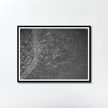 Untitled (flowers) by Yukihito Kono
