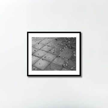 Untitled (leaves) by Yukihito Kono