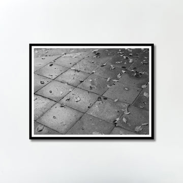 Untitled (leaves) by Yukihito Kono