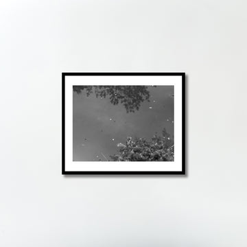 Untitled (pond) by Yukihito Kono
