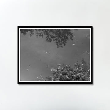 Untitled (pond) by Yukihito Kono