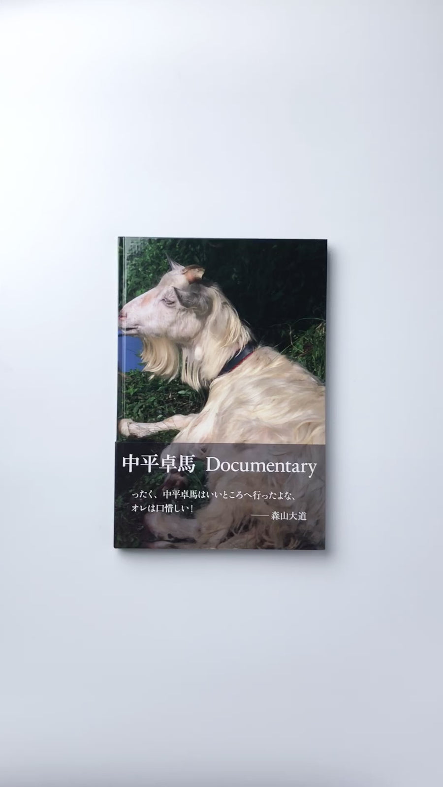 (Mint) Documentary by 中平卓馬