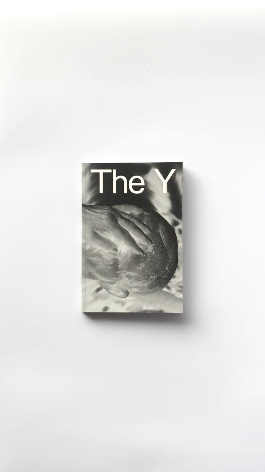 <tc>The Y by Alba Zari</tc>