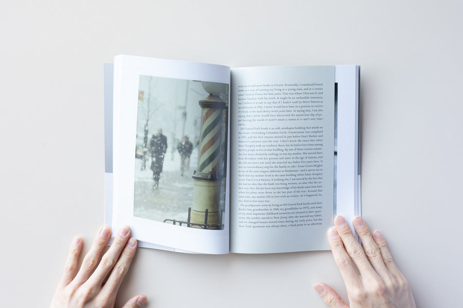 The Gould Collection Volume 2 by Saul Leiter & Paul Auster