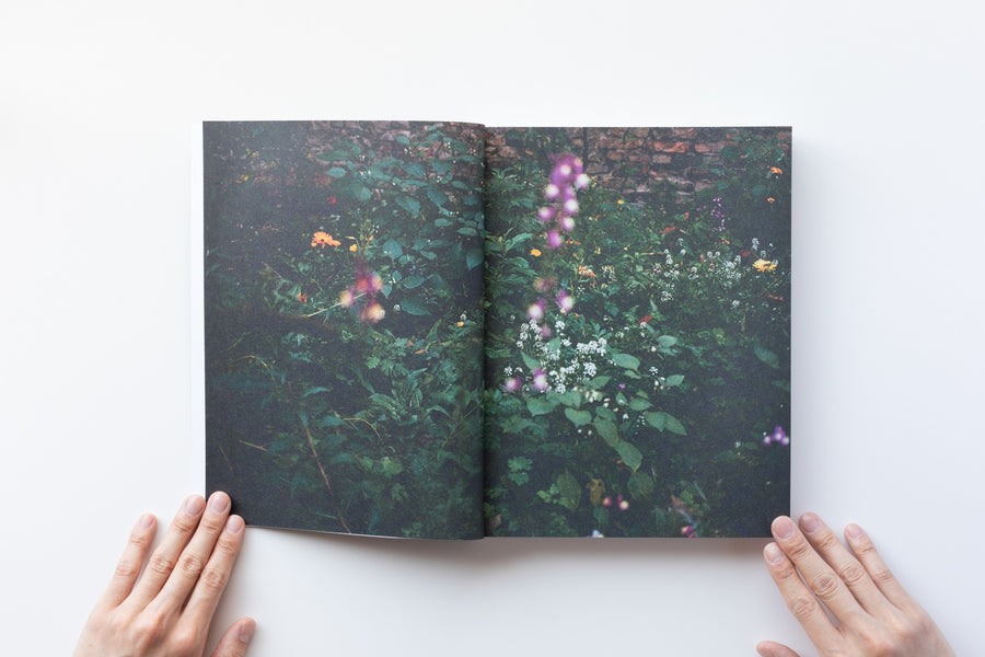 WOLFGANG TILLMANS by Wolfgang Tillmans