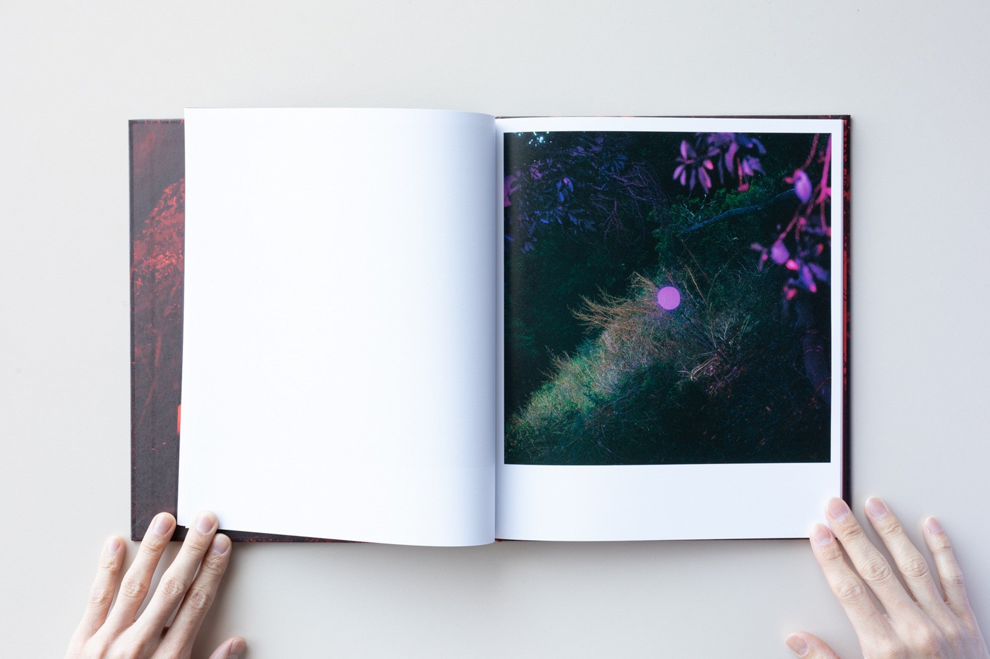 CHROMA by John Divola – IACK