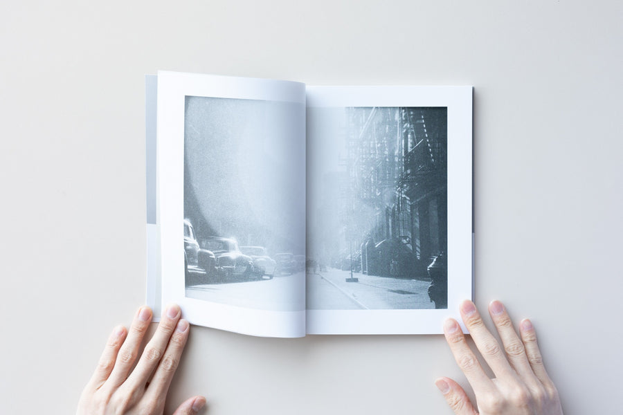 The Gould Collection Volume 2 by Saul Leiter & Paul Auster